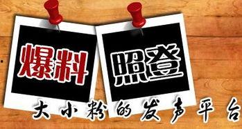 图片新闻爆料,揭秘XX事件背后的惊人真相  第1张